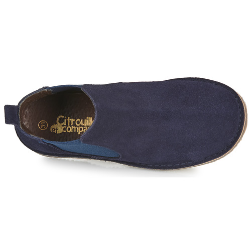 Citrouille et Compagnie - HOVETTE Marino