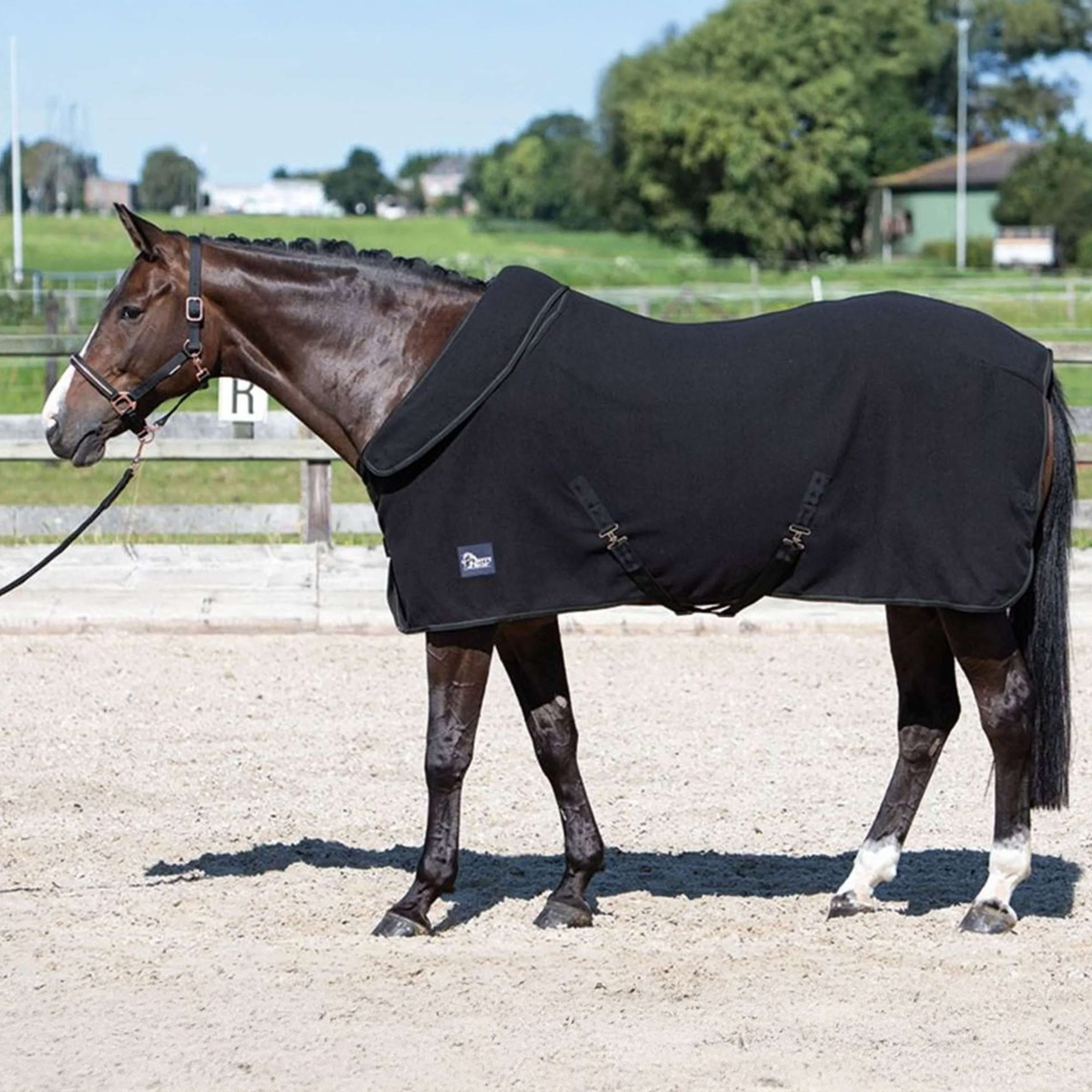 Harry's Horse Fleecedeken met Oprolbare Hals Zwart