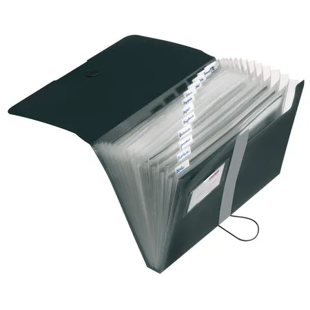 Herlitz Fächermappe PP A4 schwarz 12 Fächer easy orga to go