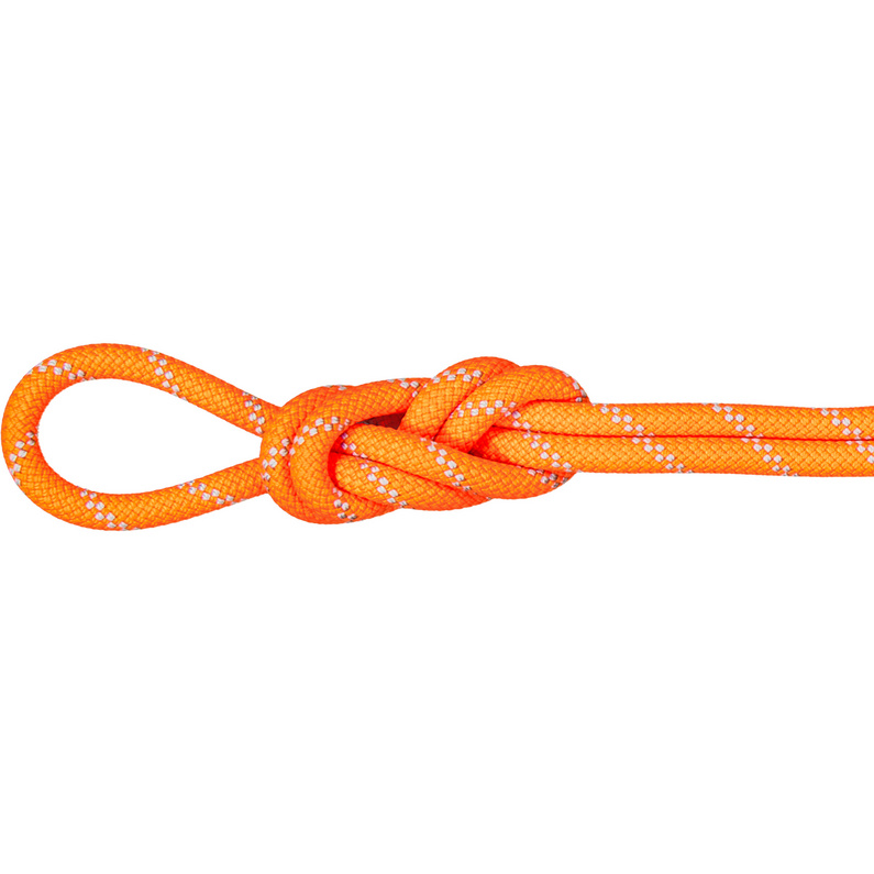 Mammut 9.5 Alpine Dry Kletterseil