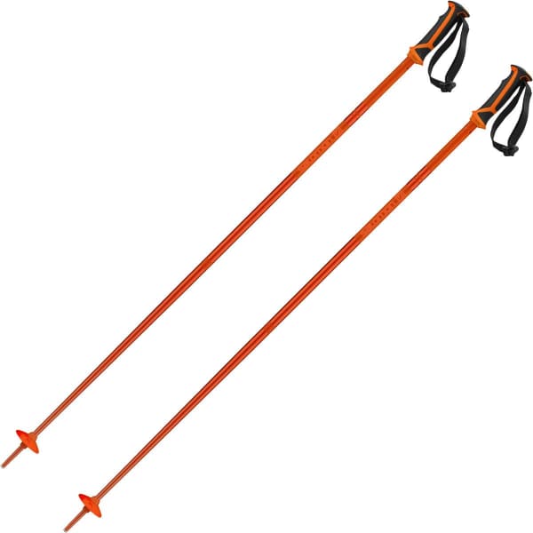 Bâton de ski SALOMON ARCTIC