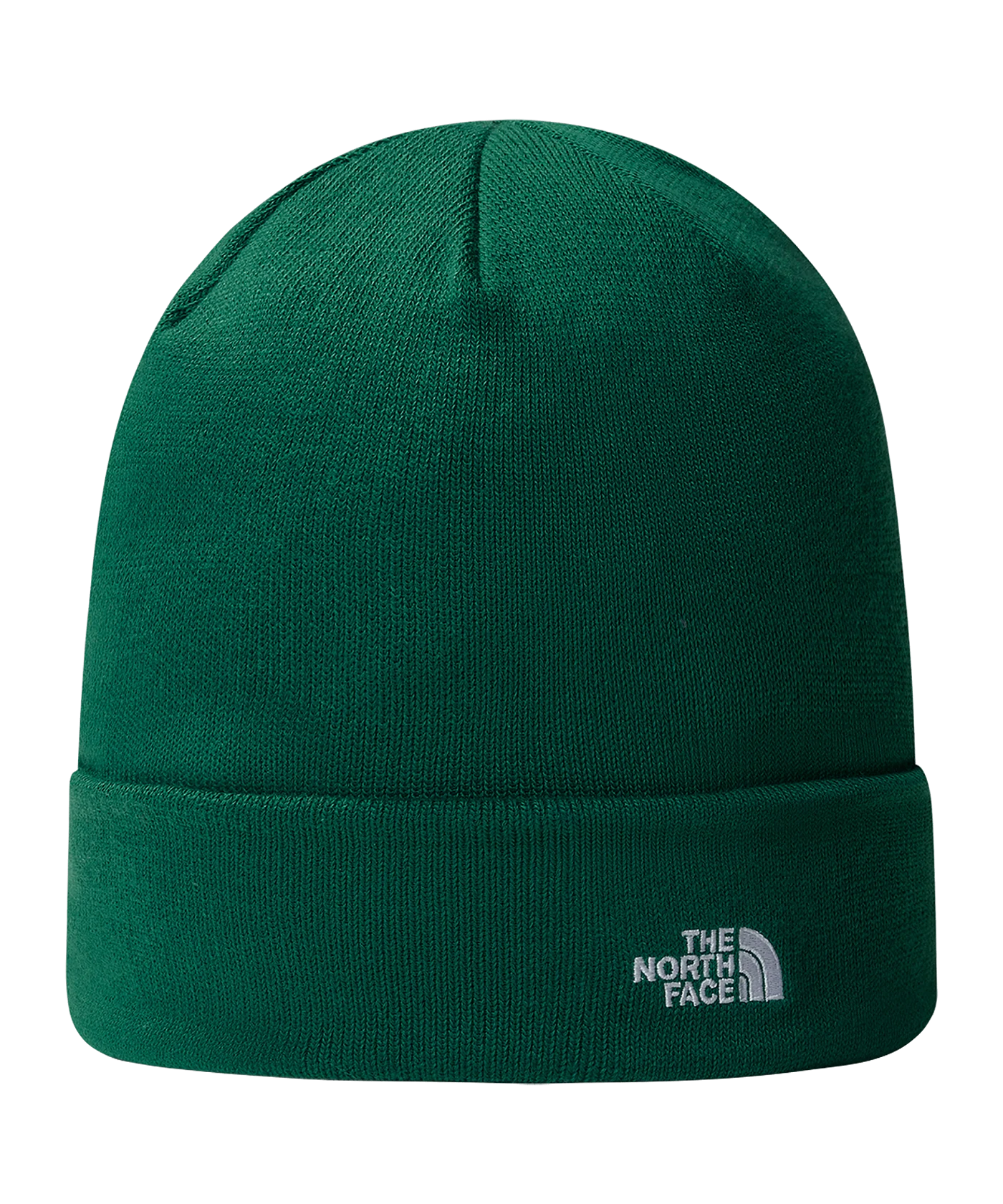 The North Face Norm Beanie Grün FNL11