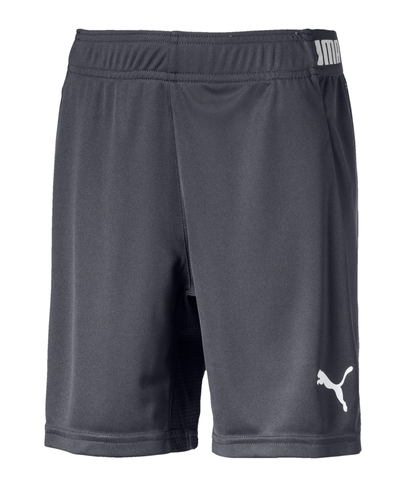 PUMA ftbINXT Short Kids Grau F02