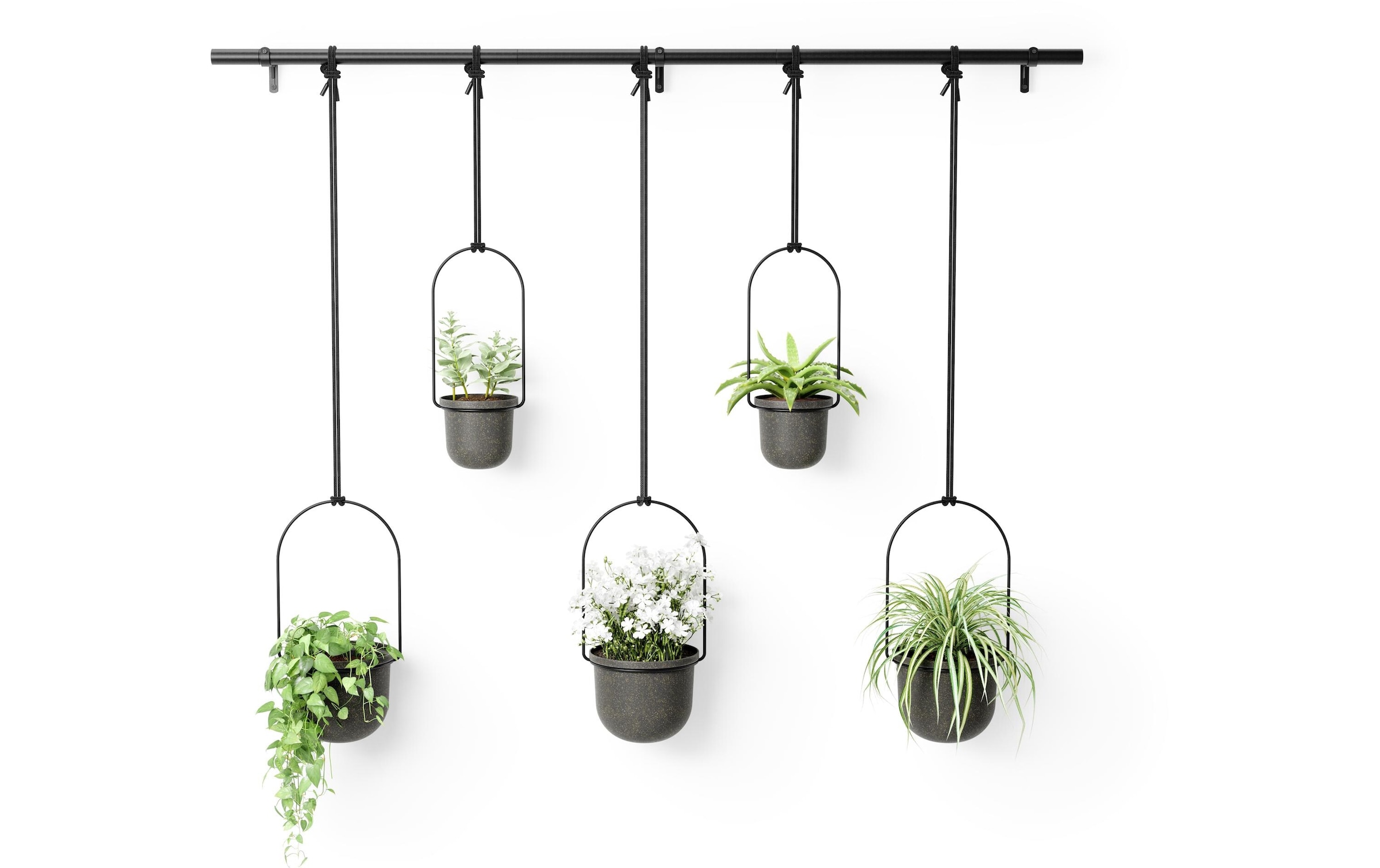 Umbra Blumentopf »Triflora, 5er Set, Schwarz«
