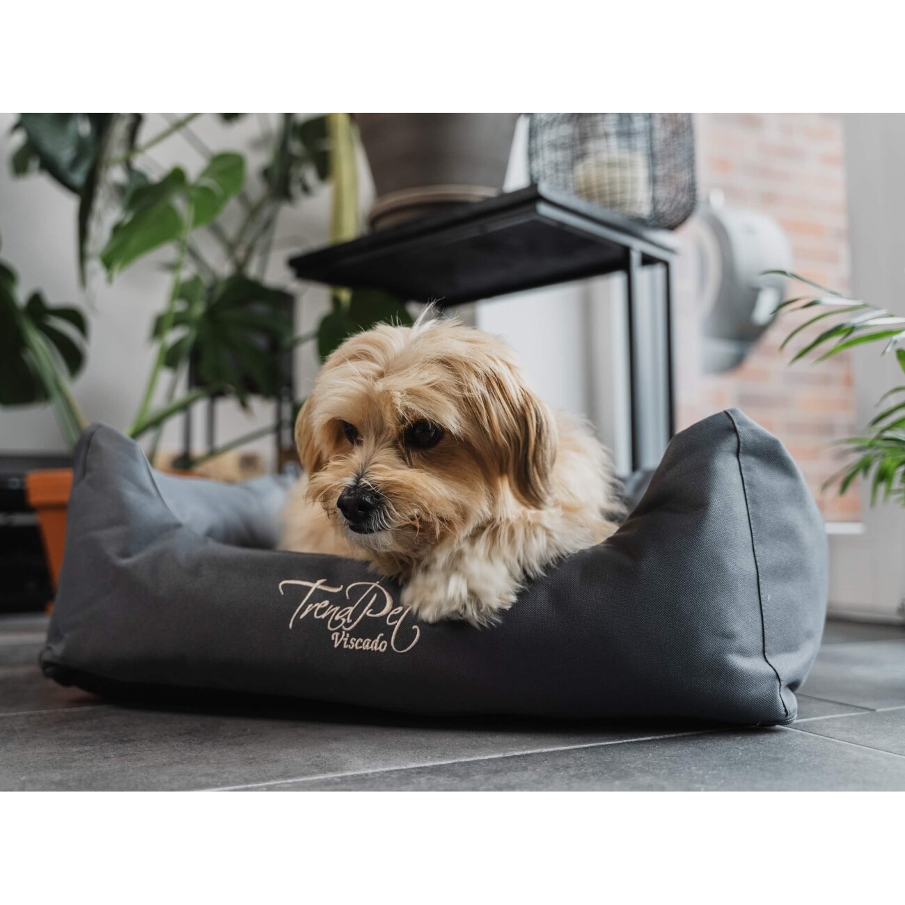 TrendPet Viscado orthopädisches Hundebett grau S