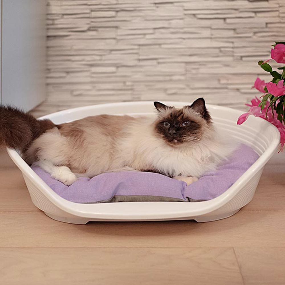 Ferplast - panier chien panier chat - lit pour chien en plastique small - 100% plastique recyclé - lit pou chat lavable -