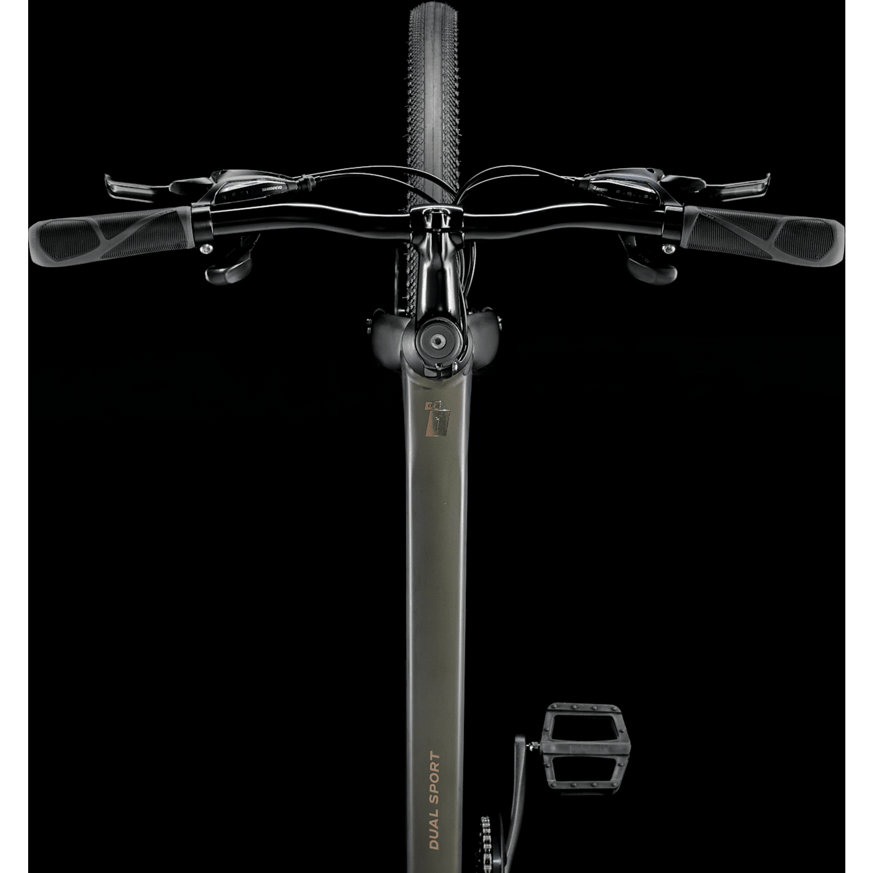 Trek Dual Sport 1 Gen 5 2025