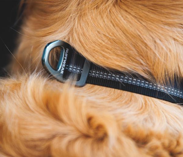 RUFFWEAR® Hundehalsband Top Rope™ mit