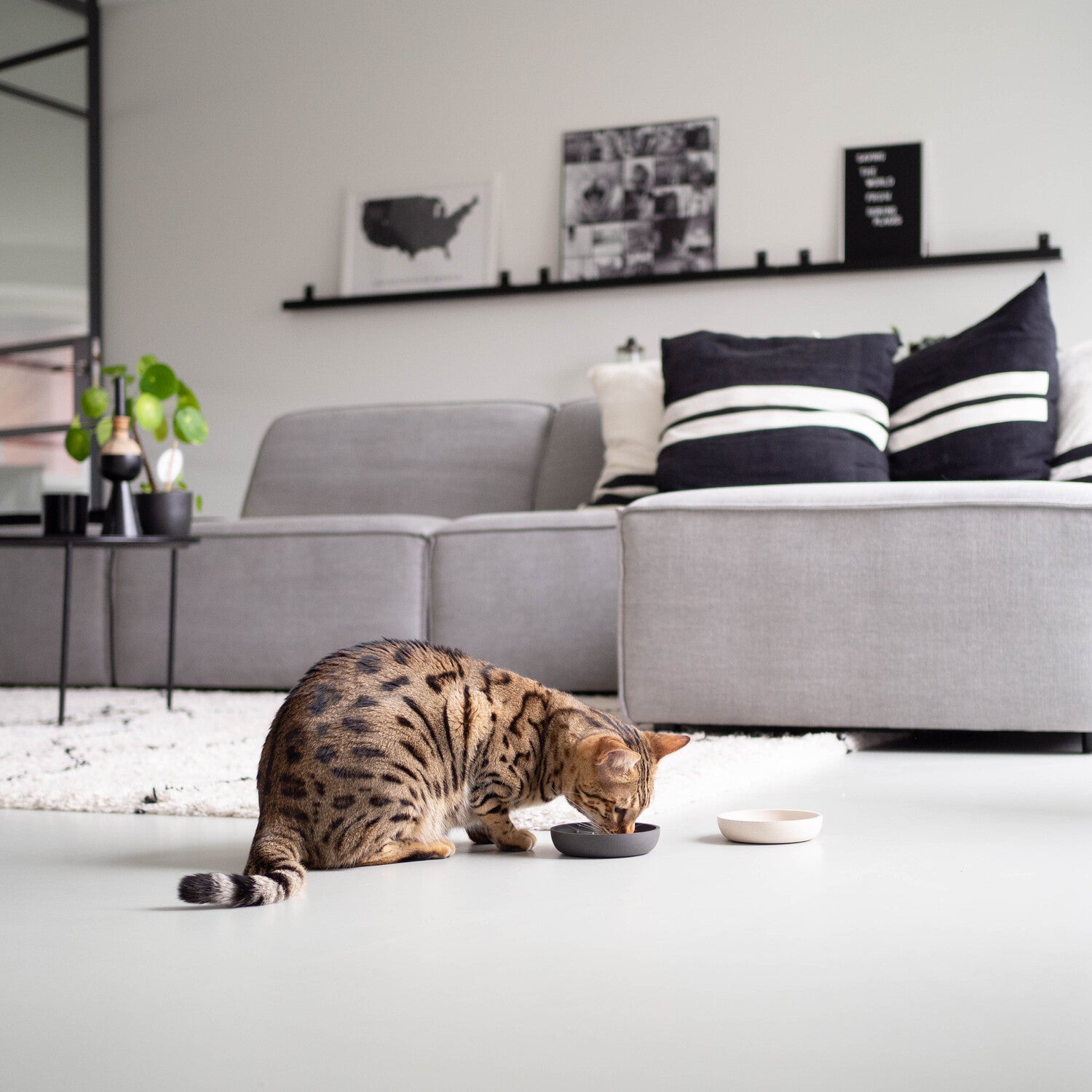 District 70 kattenvoerbak Bamboo antraciet D 12 H 2,8 cm