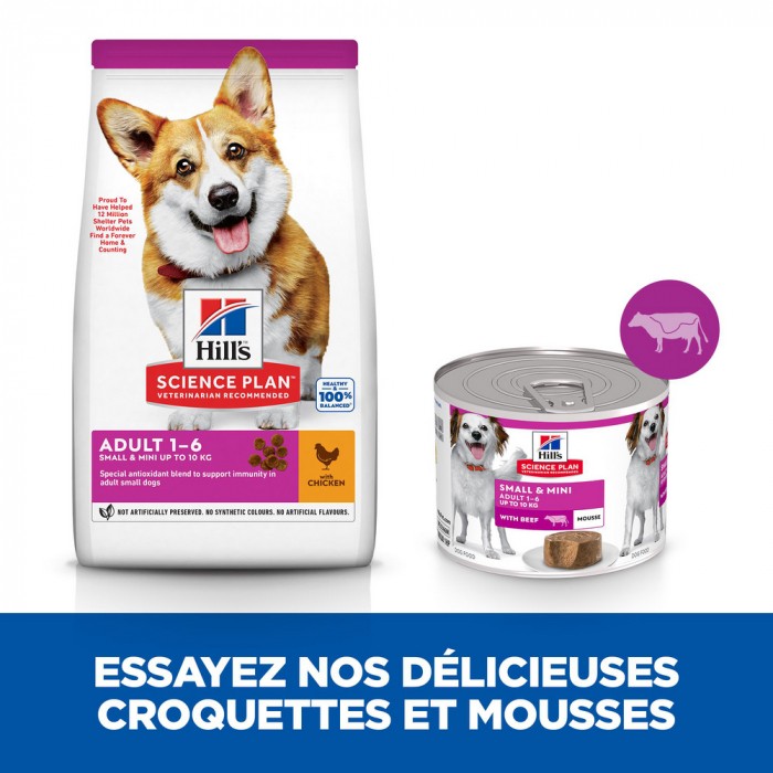HILL'S Science Plan Small & Mini Adult en mousse au bœuf - Pâtée pour chien