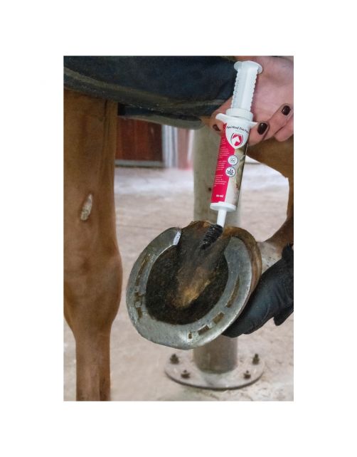 Excellent Equi Hoof Zink Pasta - Hoefverzorging - 60 ml