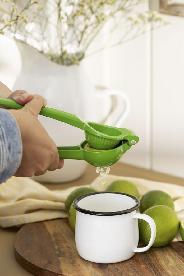 Ib Laursen Limepresser grøn Grøn