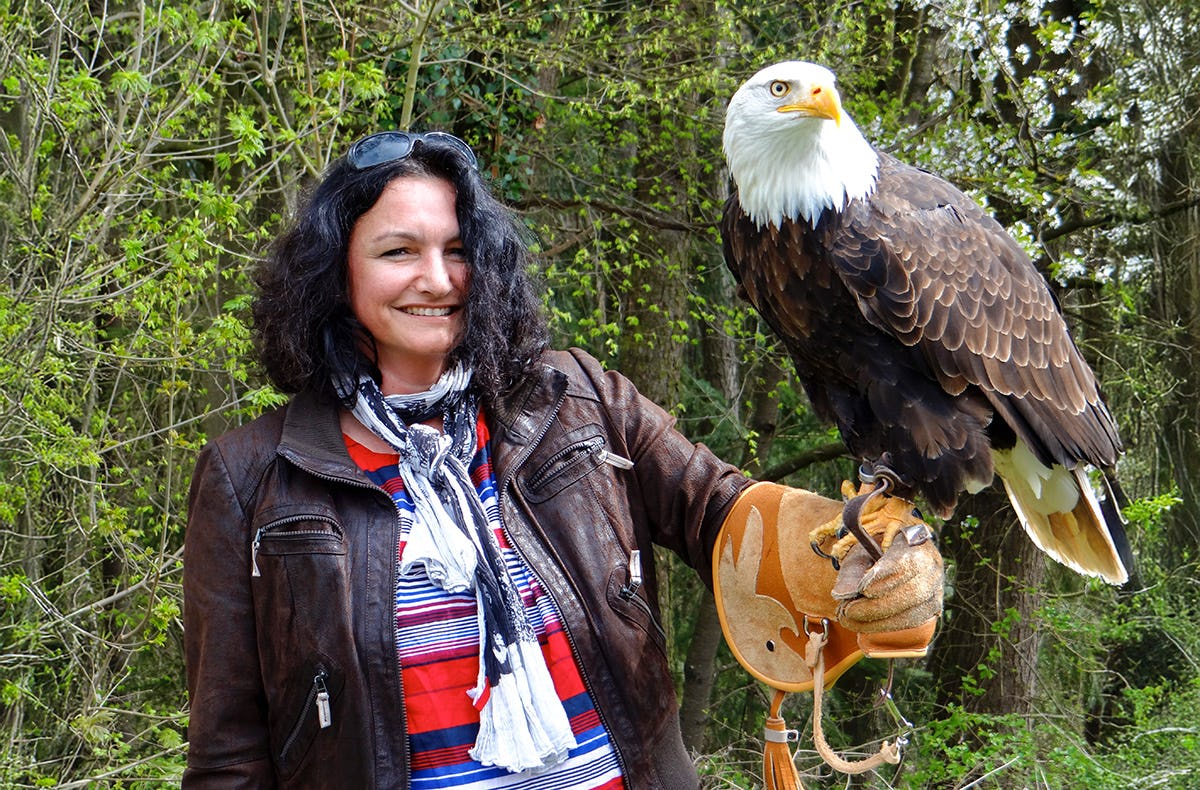 Falkner für einen Tag Weißkopfseeadler