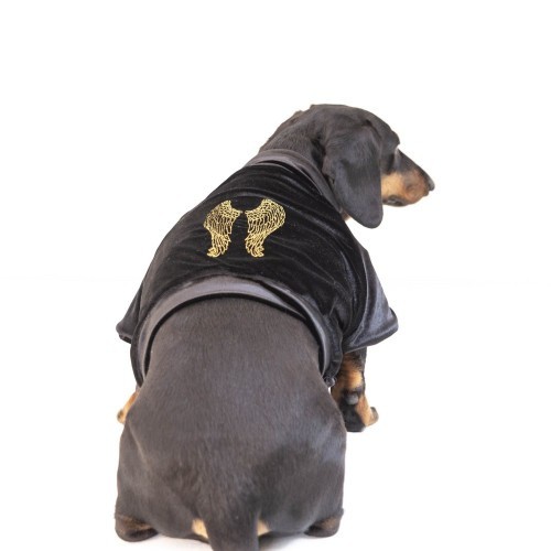 Jaqueta de veludo Angel para cães, preta