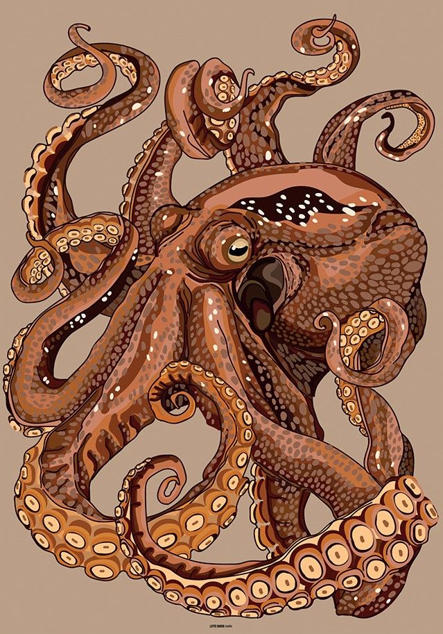 Wandkleed Pulpo