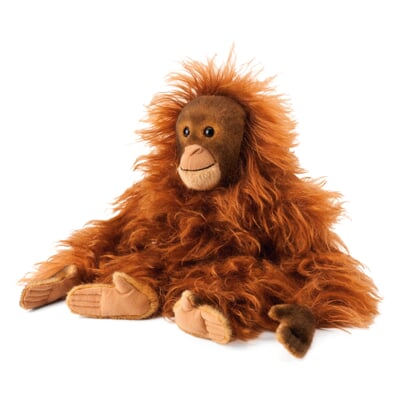 Kösener Orang-Utan