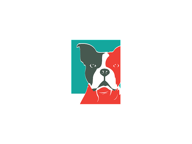 Anthelmex Ecuphar 2 smakelijke kauwtabletten ontworming hond