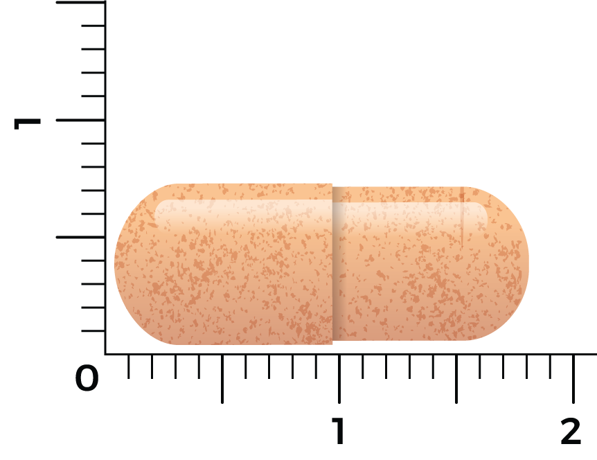 Vitakruid Saffraan 28 Mg (Affron®) & Bioperine (60 vega capsules)