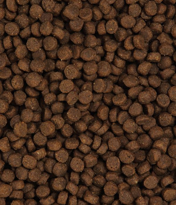 Dehner Premium Trockenfutter für Katzen