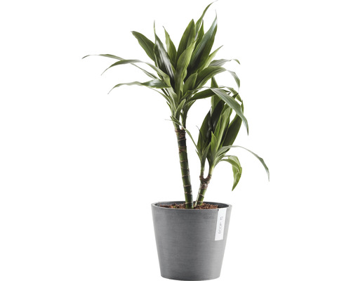 Ecopots Amsterdam plantenpot, kunststof, Ø 20 cm, H 17,5 cm, grijs