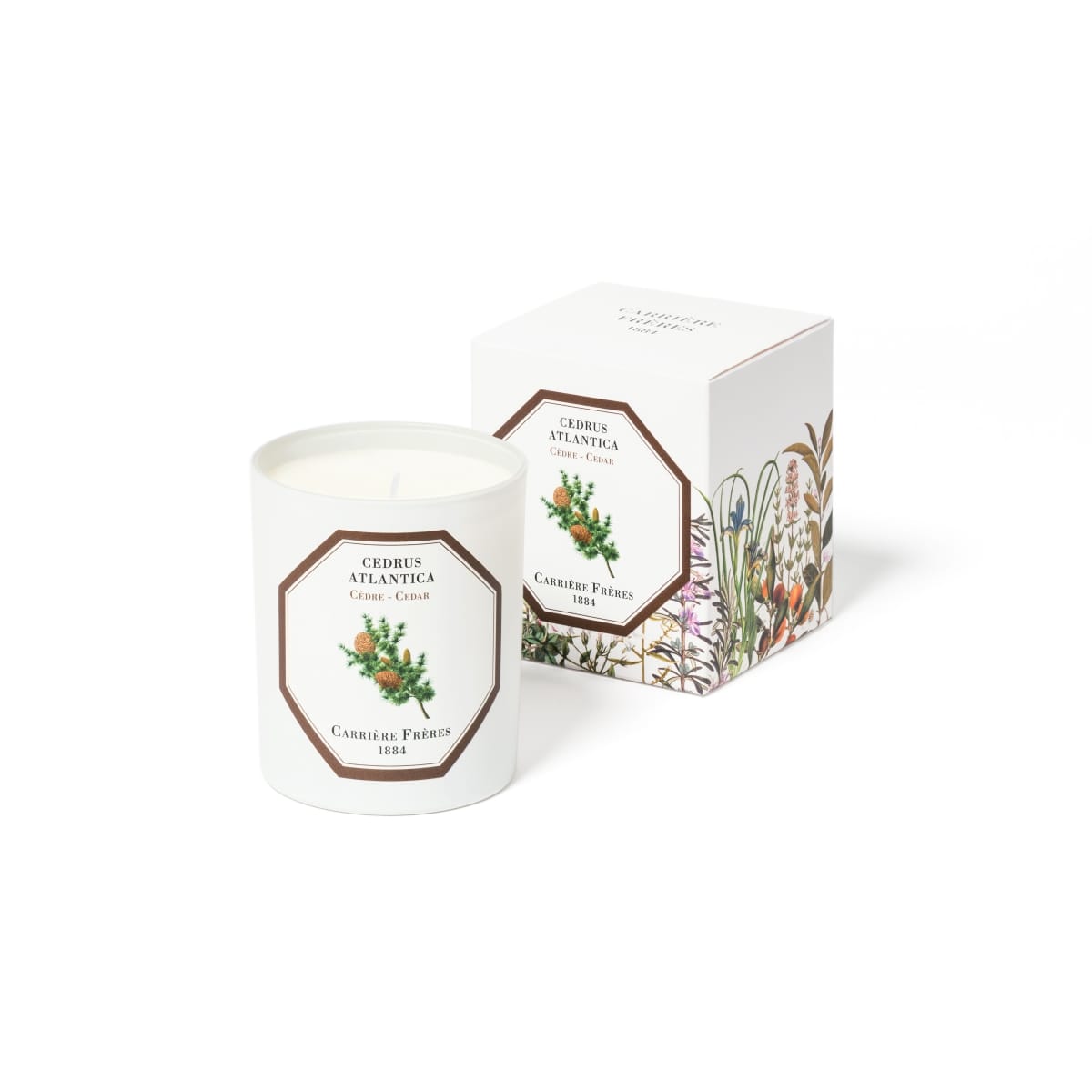 CARRIÈRE FRÈRES Cèdre - Cedrus Atlantica Bougie Parfumée