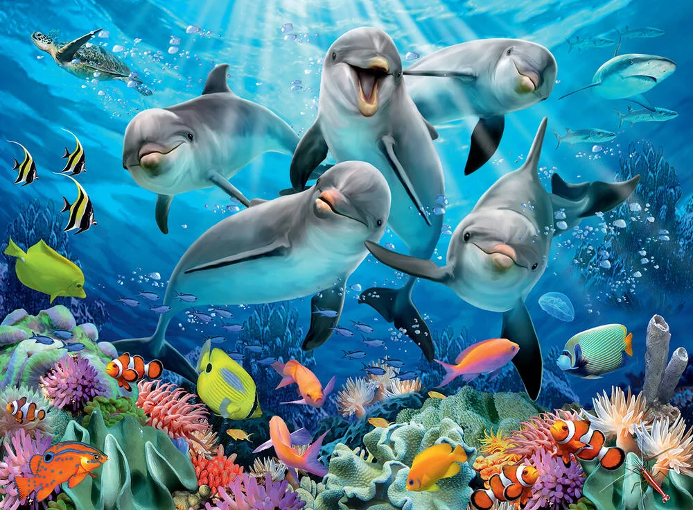 PUZZLE 500 PIECES DAUPHINS SUR RECIF CORAIL