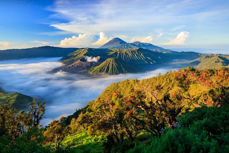 Java & Bali
