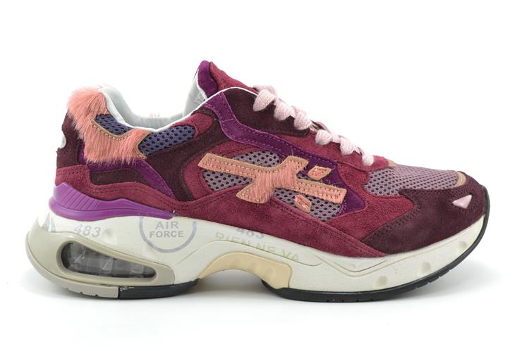 Premiata Sharky-D variante 421