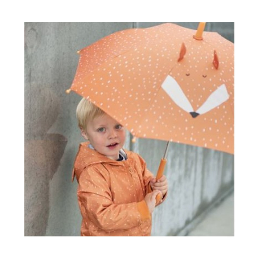 Parapluie Mr Fox