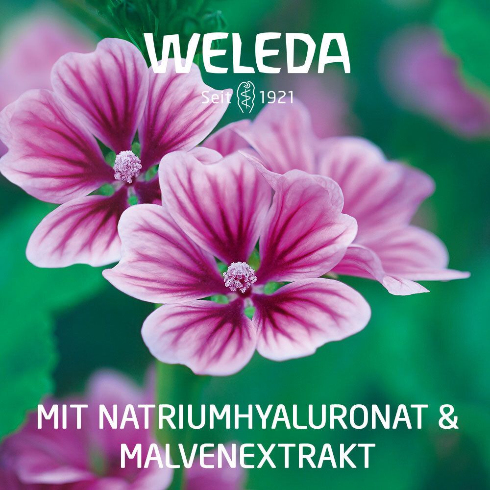 Visiodoron Malva® Augentropfen in Monodosen bei trockenen und gereizten Augen