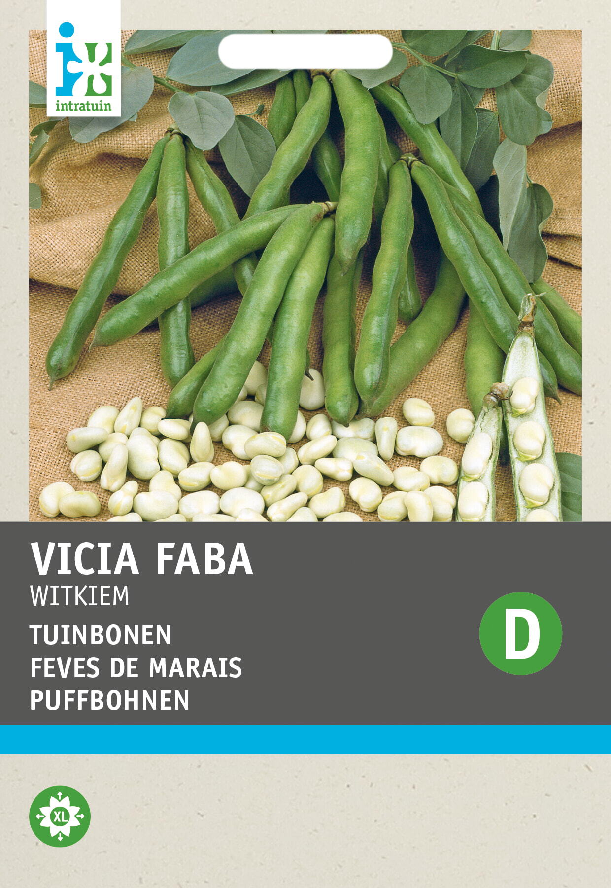 Intratuin groentezaad Tuinboon (Vicia faba 'Witkiem')