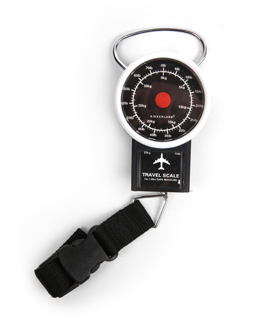 Travel Luggage Scale (TT08)