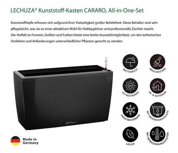 LECHUZA® Kunststoff-Kasten CARARO