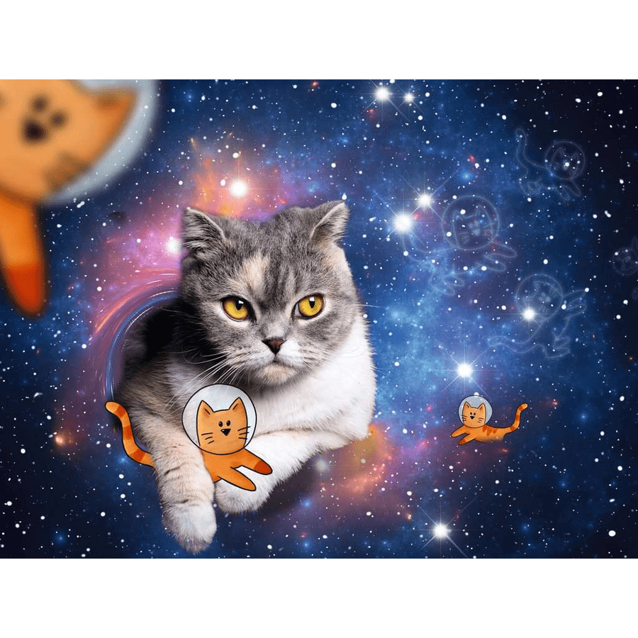 Ravensburger Katzen fliegen im Weltall bunt
