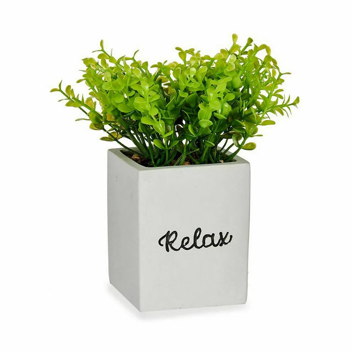 Ibergarden Plante décorative Volets - Vert Gris
