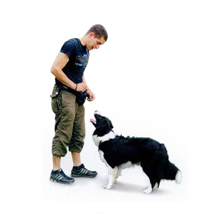Hunde Training Klicker Sporting Finger Clicker   Spiralkabel mit Karabiner Haken - Schwarz