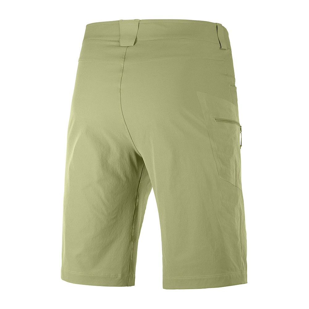 Salomon WAYFARER - Short Homme martini olive