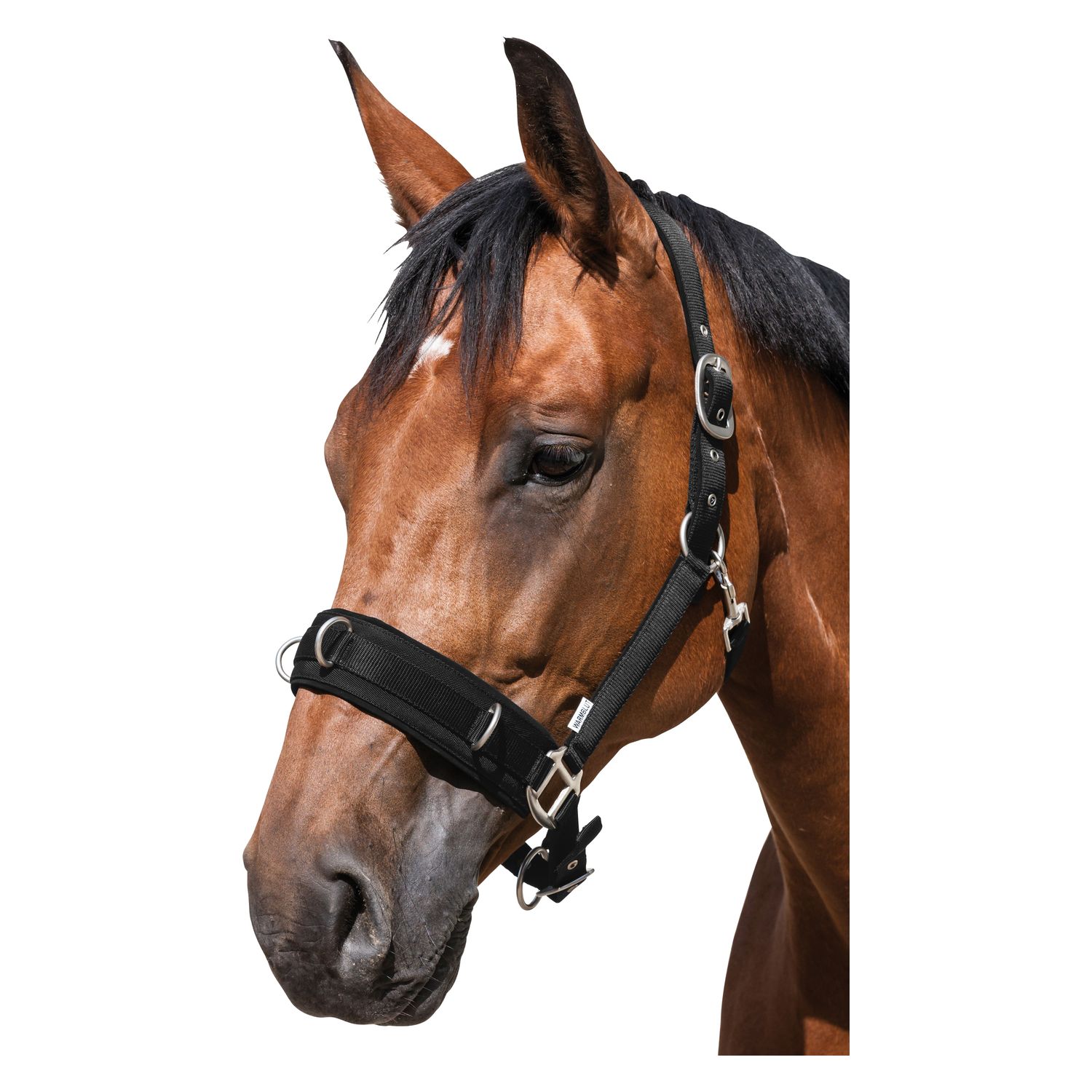 Horse-friends Longier- und Stallhalfter  - schwarz