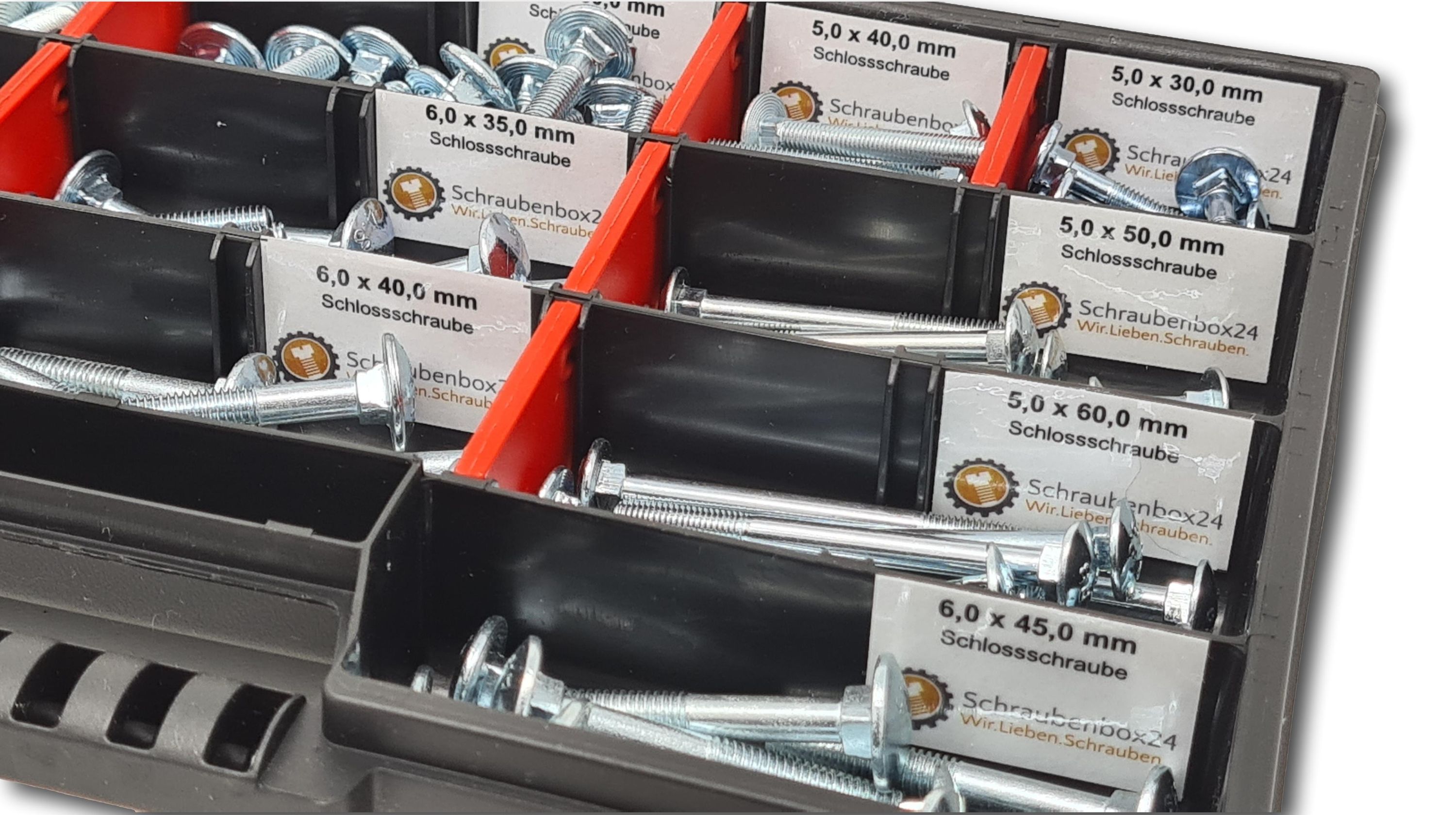 Flachkopfschrauben Sortiment M5-M6-M8 // 30mm-60mm 115 tlg. Schraubenbox DIN 603 Bolzen Vollgewindeschrauben Maschinenschrauben Gewindeschrauben Flachkopfschrauben