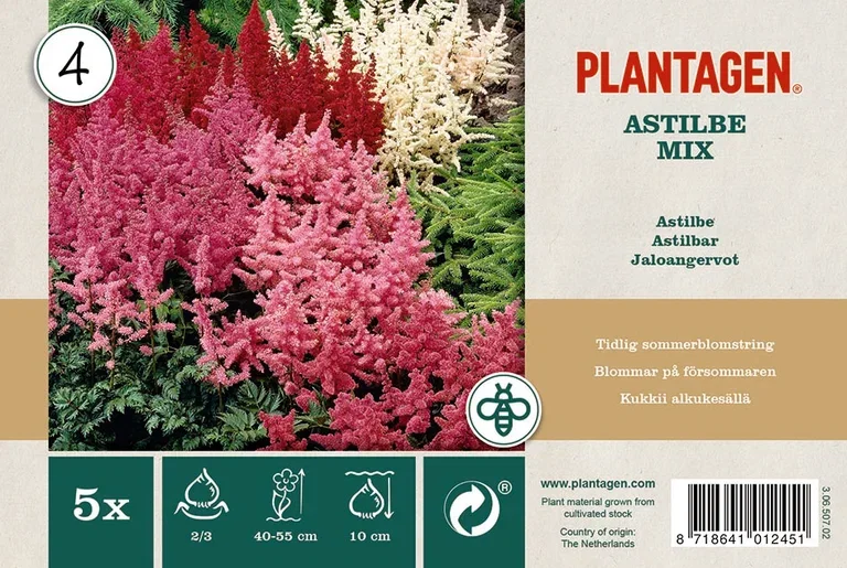 Plantagen Astilbe Miks 5 pk
