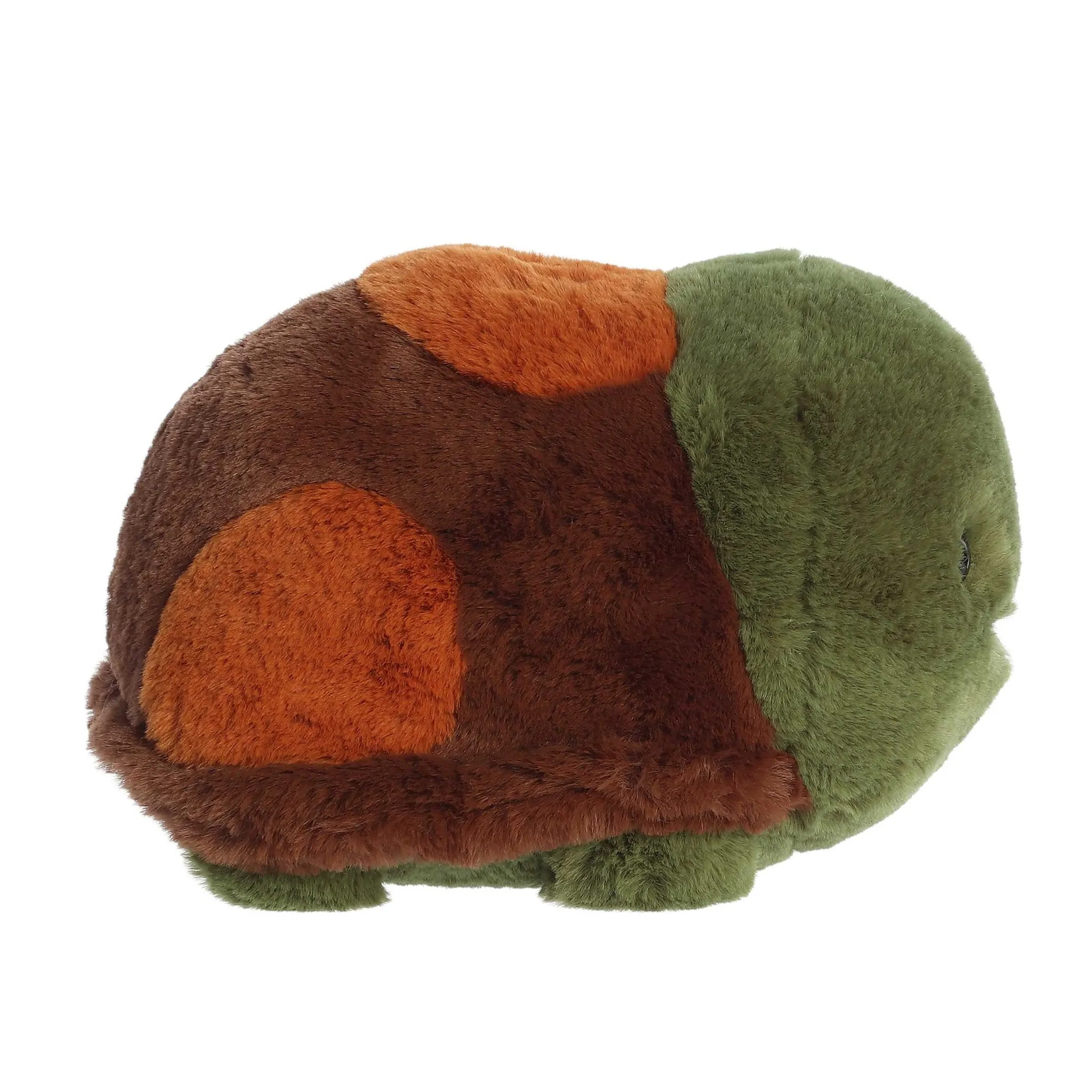 Aurora Tortue Tony 10''