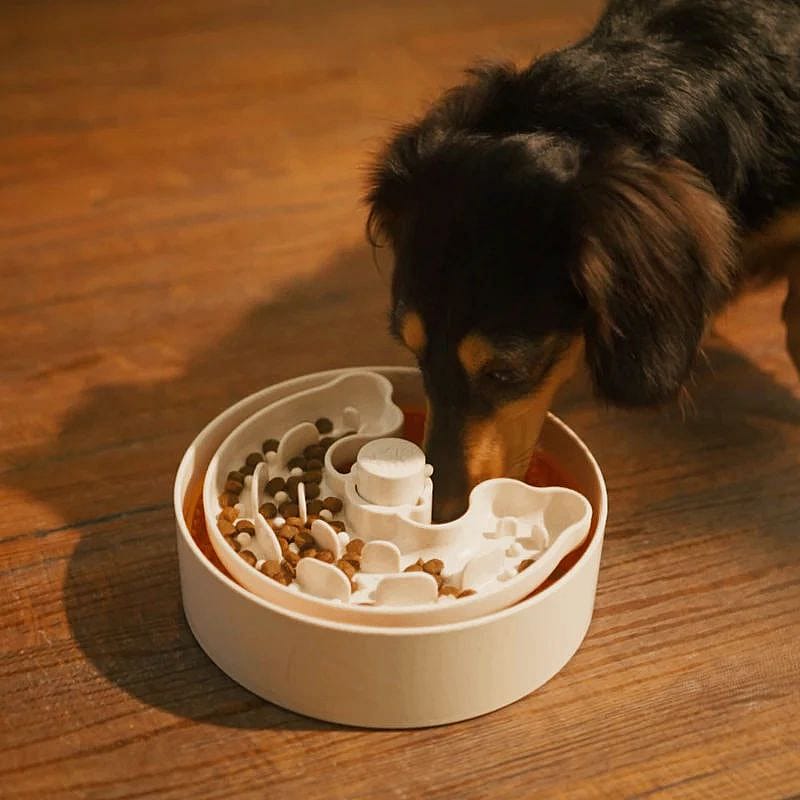 Puzzle Lick Bowl Ø 18 cm Kleine Hond | 13370