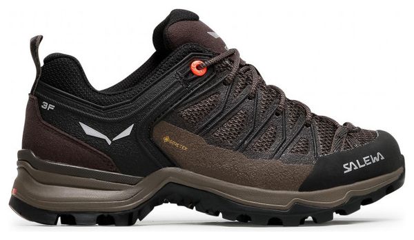 Chaussures de Randonnée Femme Salewa MTN Trainer Lite GTX Marron