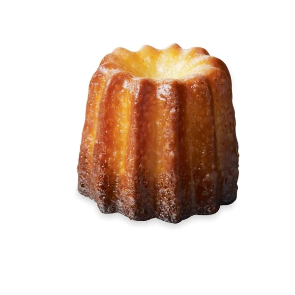 Set de 2 Elastomoules canelés et mini-canelés De Buyer