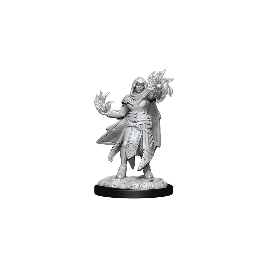 D&D Nolzur's Marvelous Unpainted Miniatures: Male Hobgoblin Fighter & Female Hobgoblin Wizard