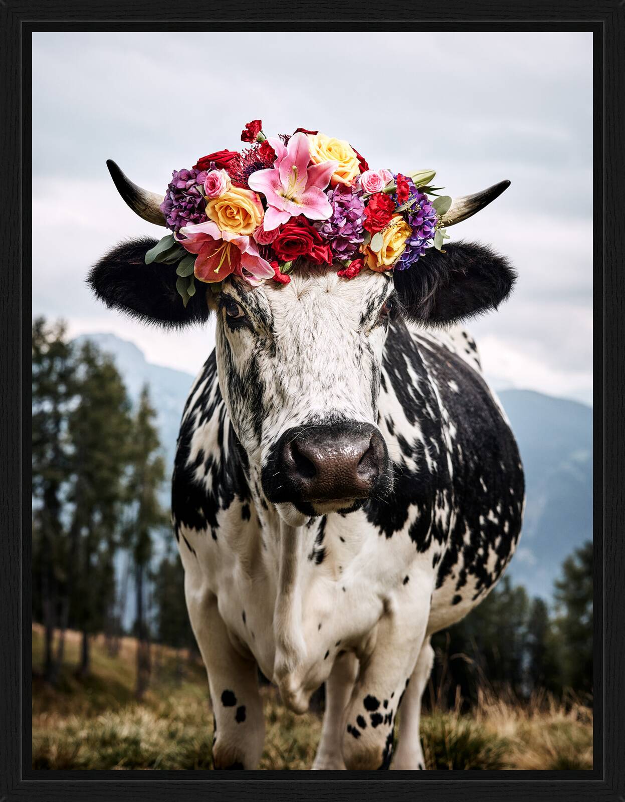Heidi by Ramona Waldner - Limited Edition. Edition of: 150. Signed.