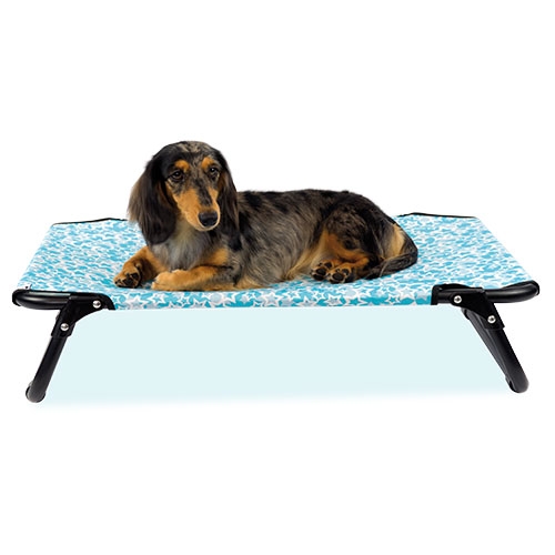 Cama elevada para cães e gatos, tamanho grande.