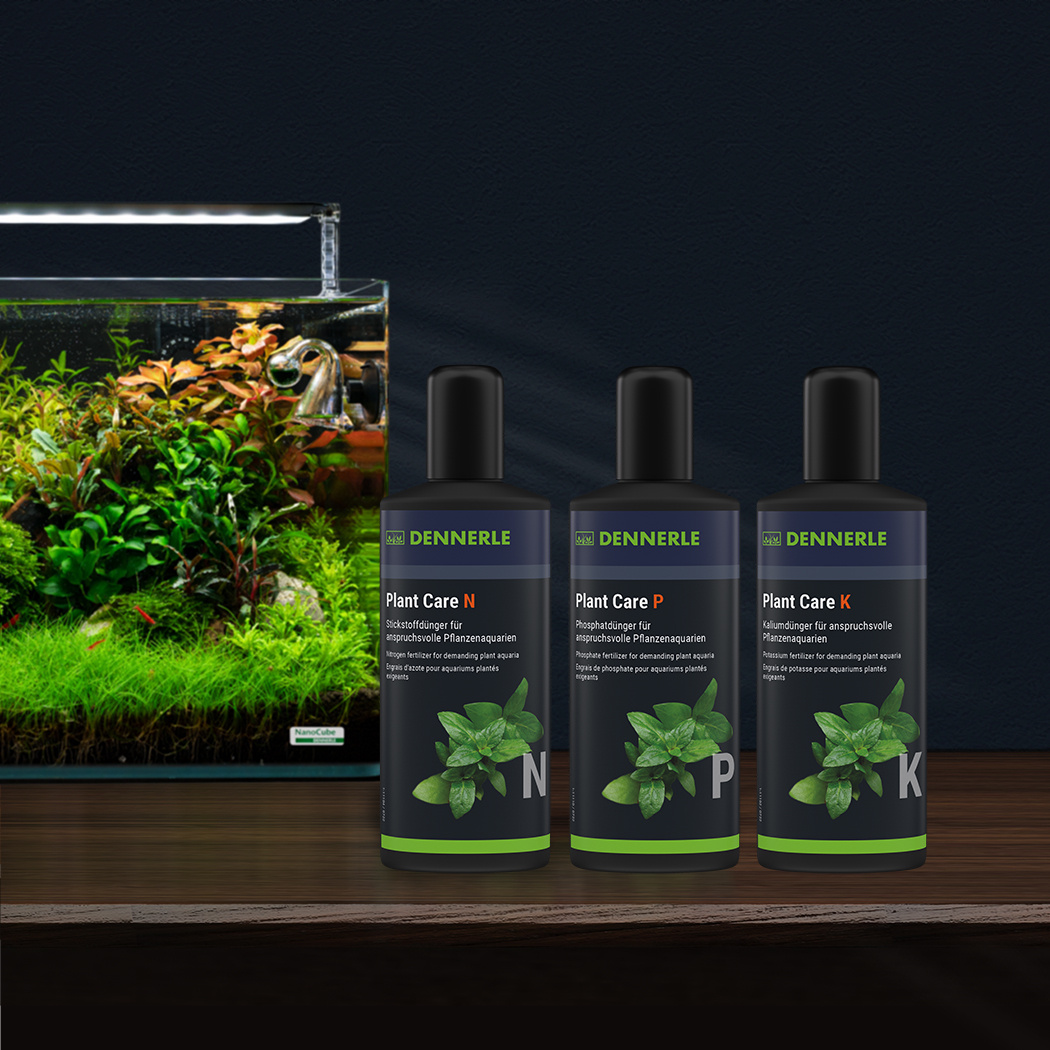 Dennerle Plant Care P 250ml | Plantenvoeding