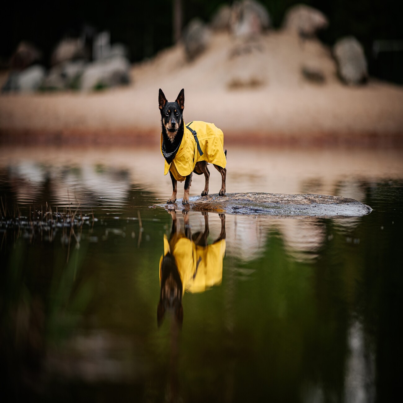 Paikka Visibility Raincoat Lite yellow 20 cm