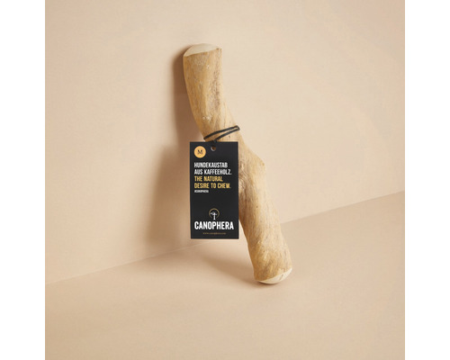 CANOPHERA hondenspeelgoed, kauwstaaf van koffiehout, maat M (ca. 22-26 cm), voor honden tot 20 kg, bruin, stressverlichtend, gebitsverzorging, verrijking